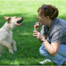 Галерея 5